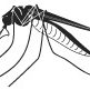 Mosquito 2